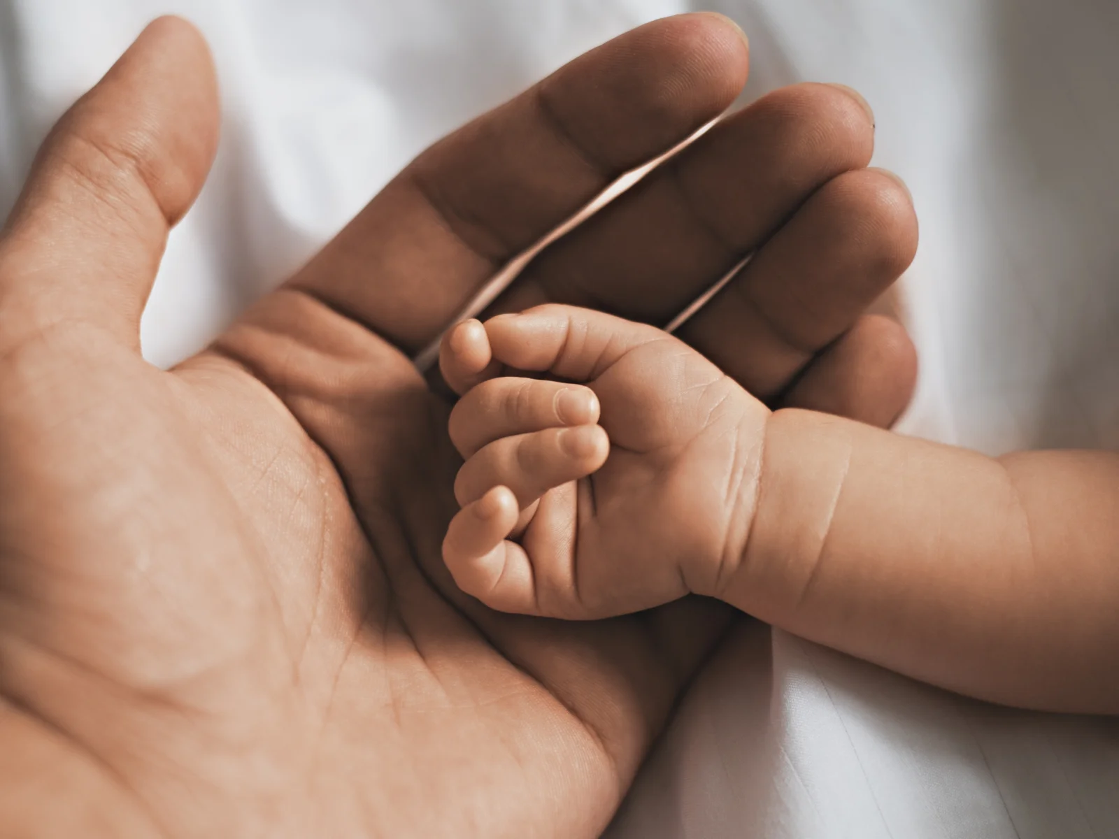 Paternity Fraud: How It Happens